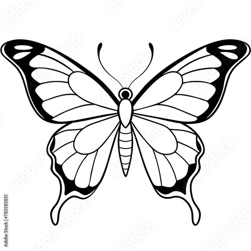     Butterfly vector illustration.  © Abul Kalam