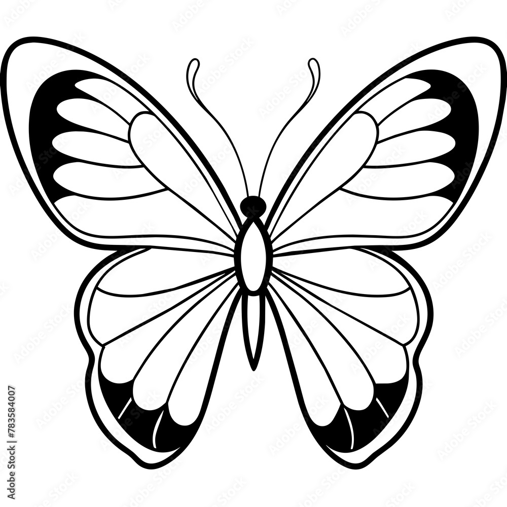 Butterfly vector illustration.
Butterfly vector illustration.