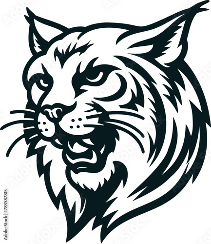 Angry bobcat, wild lynx head, vector illustration.