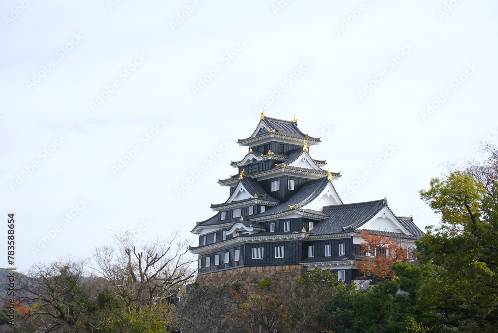 Japannese Okayama Castle in Winter December