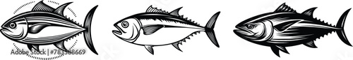 Set of tuna fish, vector illustration. photo