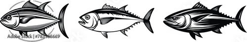 Set of tuna fish, vector illustration.