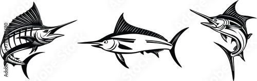 Set of marlin fish in different poses, sword fish, vector illustration.