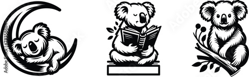 Set of koala, tropical and exotic adorable animals, funny design, vector illustration.