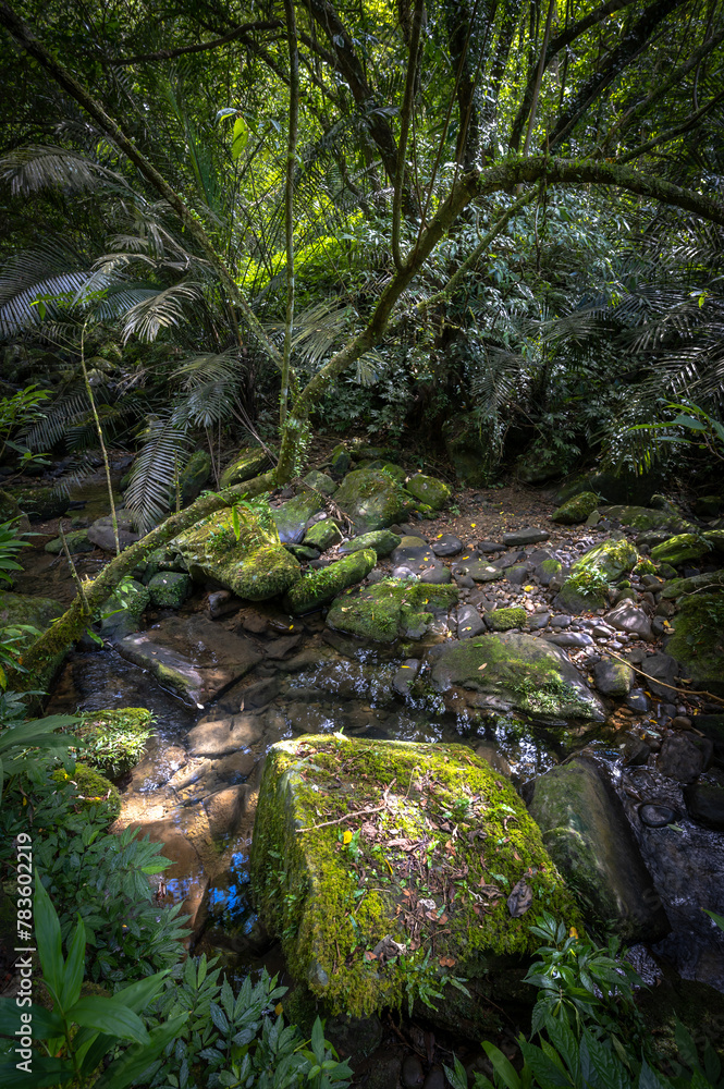 Lovely scene of a river corner, beautiful rocks full of moss lay down on the river, hidden in the forest, and sunlight shines between leafs, in Bengshankeng historical trail, New Taipei City, Taiwan. Lovely scene of a river corner, beautiful rocks full of moss lay down on the river, hidden in the forest, and sunlight shines between leafs, in Bengshankeng historical trail, New Taipei City, Taiwan.