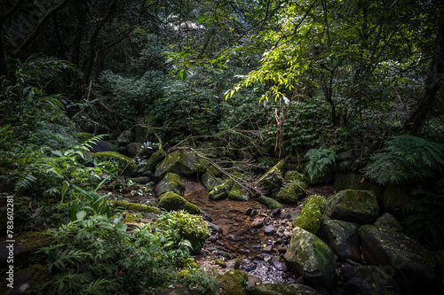 Lovely scene of a river corner, beautiful rocks full of moss lay down on the river, hidden in the forest, and sunlight shines between leafs, in Bengshankeng historical trail, New Taipei City, Taiwan.