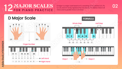 D Major Scale Visual Guide Essential Music Theory for Piano