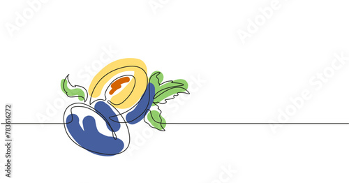 Simple vector illustration with the branch of blue plum with seed. Line art with plum.
