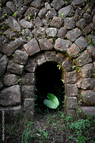 Historic charcoal pile has abandoned for many years, plant growing well from the inside, in New Taipei City, Taiwan. photo