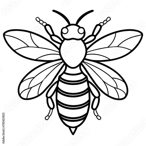  Asian giant hornet bee vector illustration. 