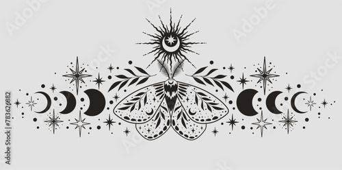 Сelestial boho border divider with moon moth. Botanical art.