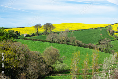 Countryside in Springtime.