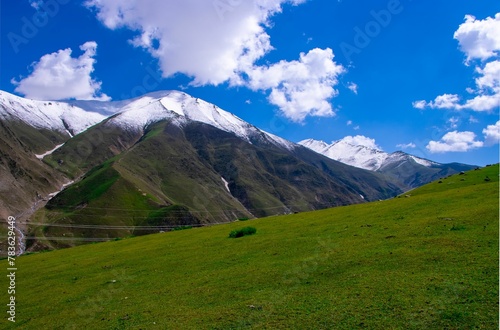 Landscape of a green field with snow-covered mountains in the background on a sunny day