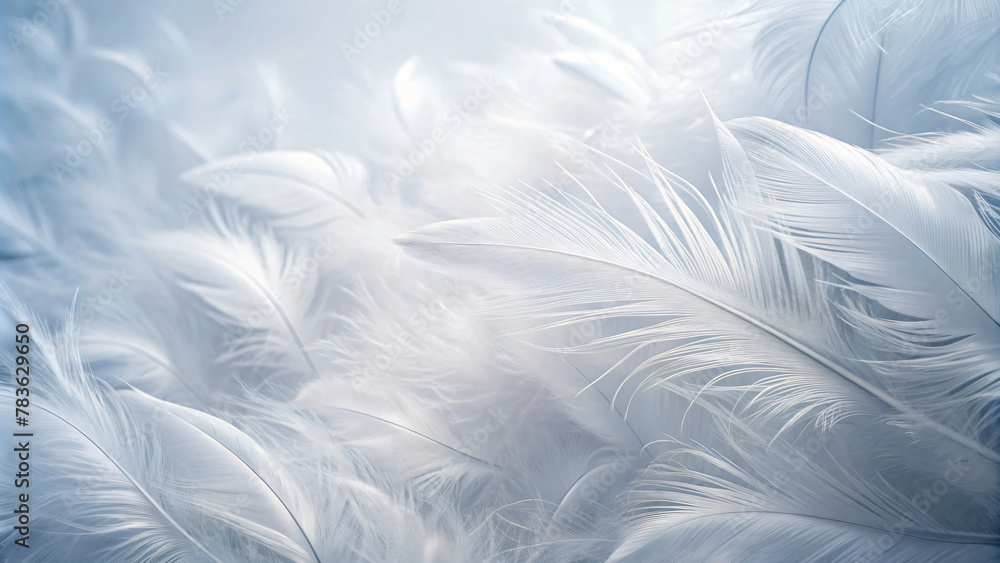 Fototapeta premium Soft White Feathers Texture with White Background