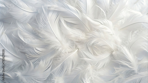 Soft White Feathers Texture with White Background © Uncle-Ice