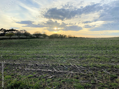 A view of the Cheshire Countryside at Peckforton photo