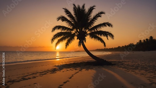 A solitary palm tree silhouetted against a fiery sunset, casting long shadows on the golden sand of a secluded beach.