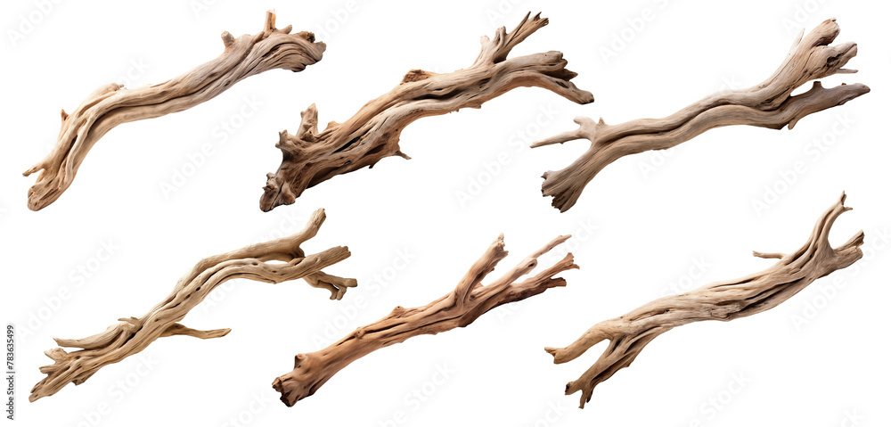 Fototapeta premium Set of driftwoods, cut out