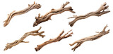 Set of driftwoods, cut out