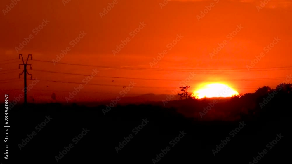 Bright golden sunset shining in the orange sky behind the silhouettes of trees and utility poles Bright golden sunset shining in the orange sky behind the silhouettes of trees and utility poles