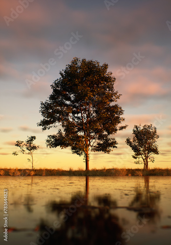 Three trees in field at lake under a sunset cloudy sky.