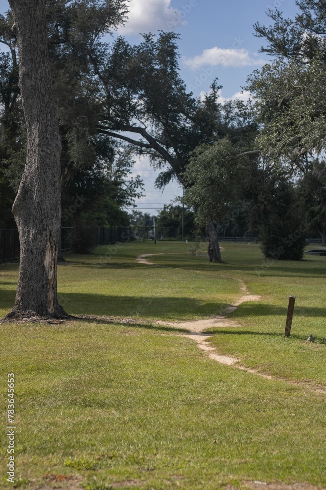 Obraz premium Vertical shot of a trail with tall green trees going through a park in Florida