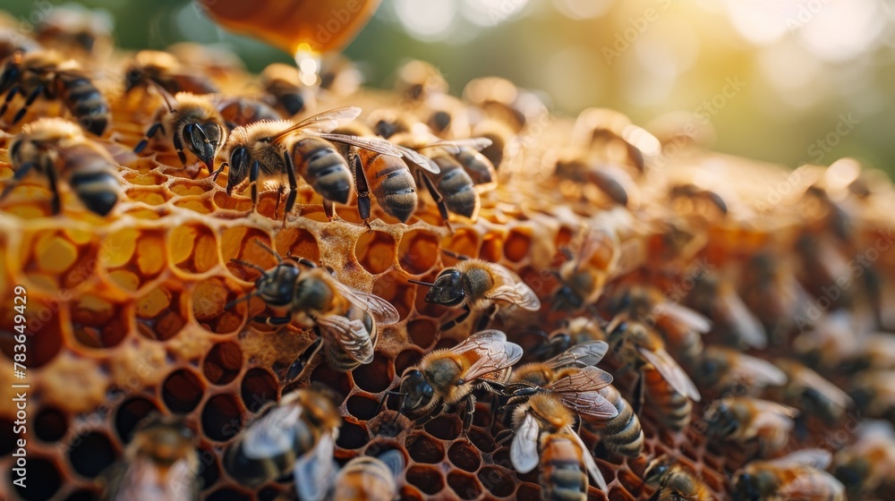 Beekeeper Tending to Bumble Bees on a Honeycomb Frame, Showcasing Sustainable Honey Production under Soft Sunlight. Beekeeper Tending to Bumble Bees on a Honeycomb Frame, Showcasing Sustainable Honey Production under Soft Sunlight.