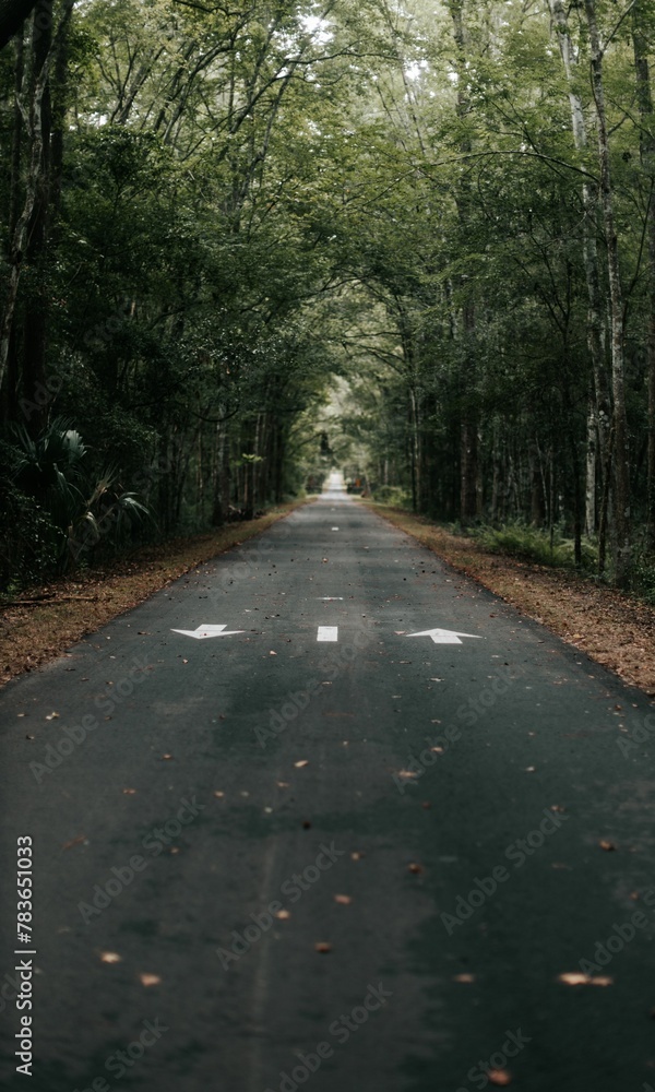 Fototapeta premium Vertical shot of footpath in the park