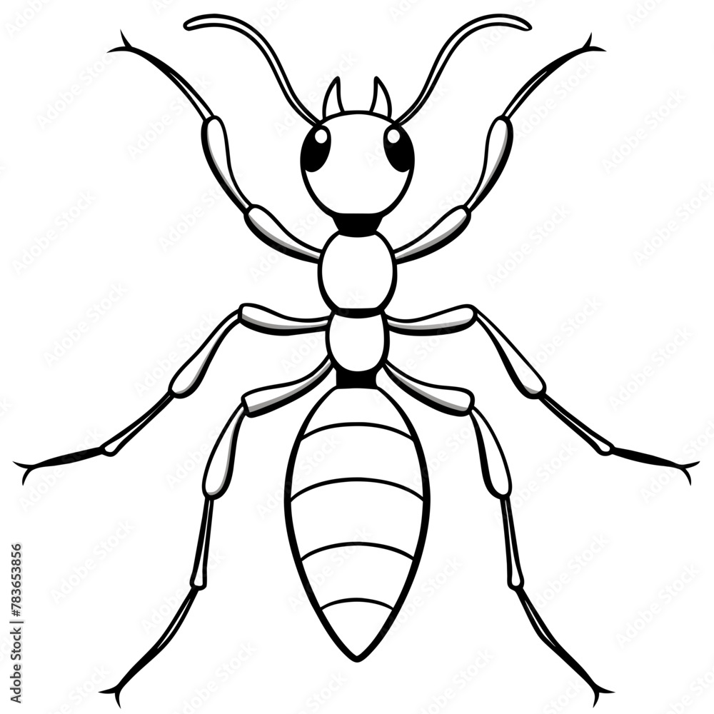 illustration of a ant illustration of a ant