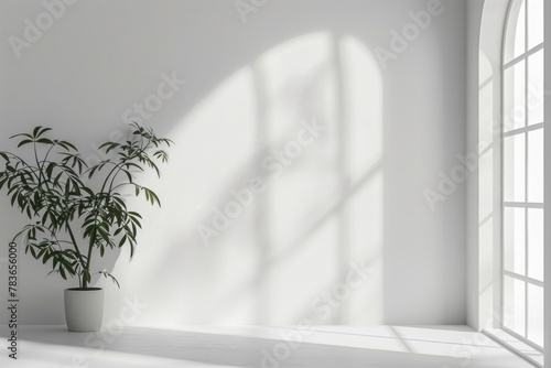 Minimalistic abstract light grey wall background for product presentation with sunlight shadow and green potted plant on the floor