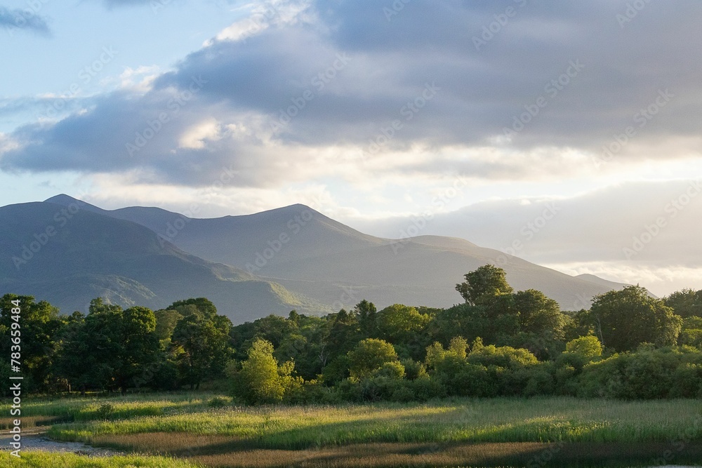 Scenic shot of trees and mountains in Killarney National Forest, Ireland with sunlight Scenic shot of trees and mountains in Killarney National Forest, Ireland with sunlight