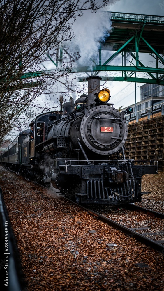 Fototapeta premium Train on railway surrounded by fallen leaves