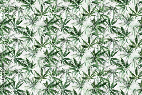Cannabis leaves seamless pattern in shades of green and white