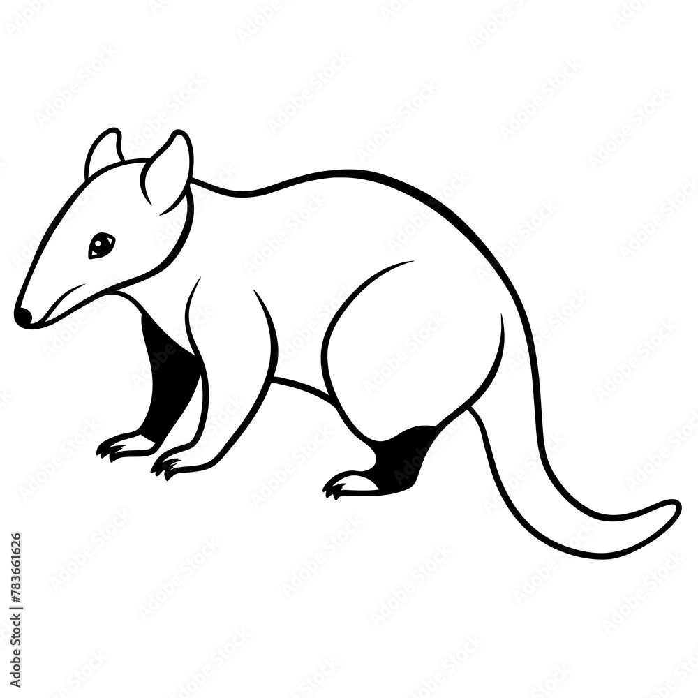 illustration of a squirrel illustration of a squirrel