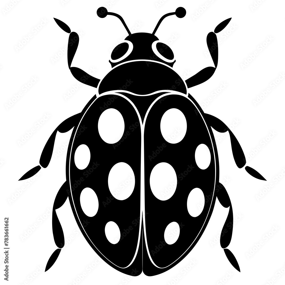 Obraz premium ladybird illustration