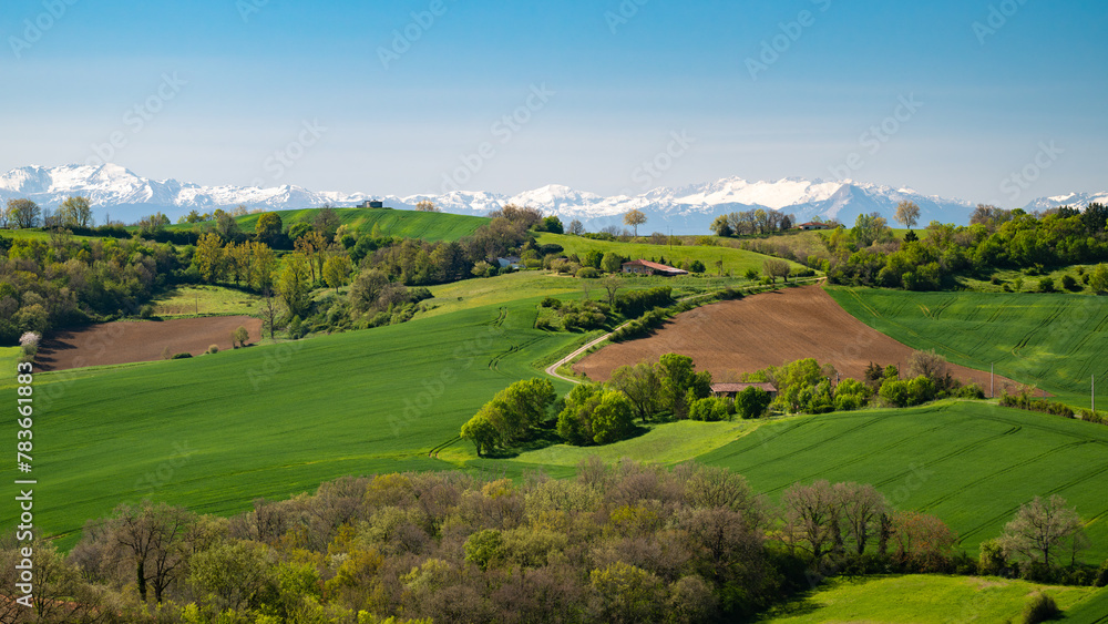 Obraz premium Countryside landscape in the Gers department in France with the Pyrenees mountains in the background