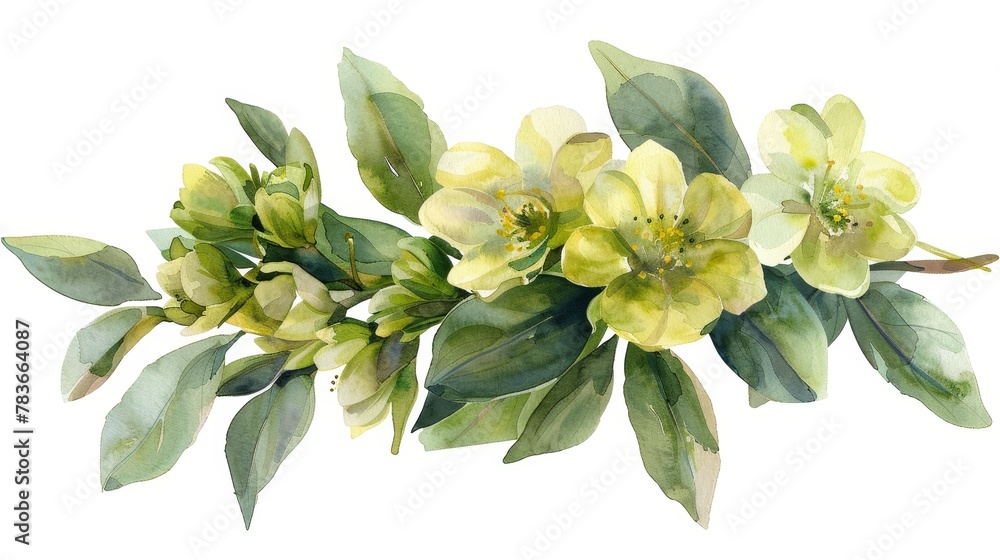 A branch of green leaves and yellow flowers painted in watercolor on a white background.