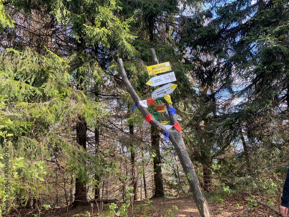 Naklejka premium kierunkowskazy na górskiej ścieżce z rzędami flag