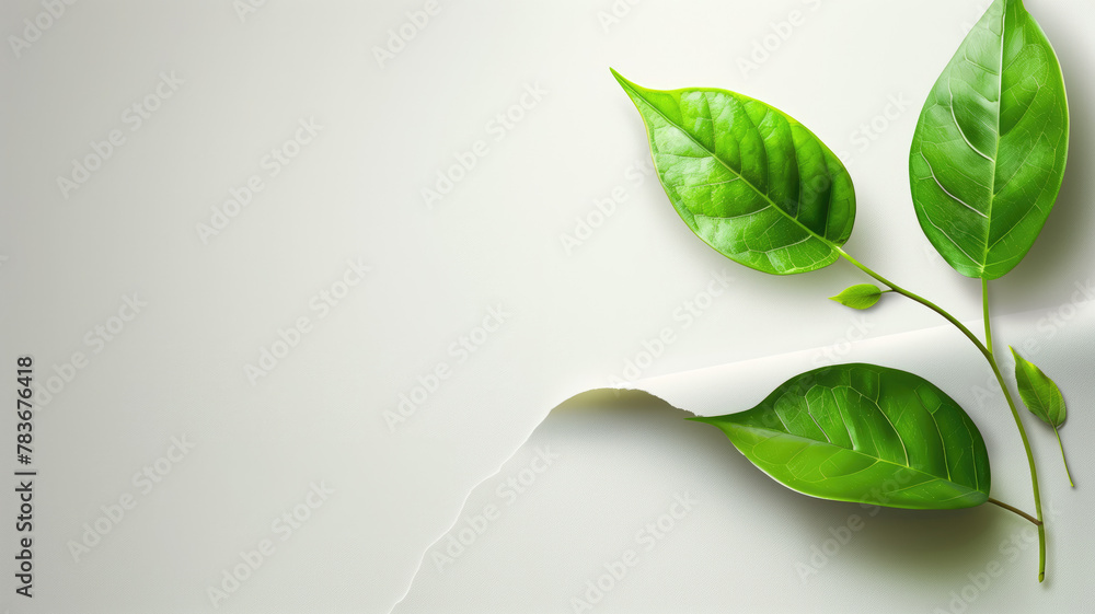 Fototapeta premium White paper background with leaf in side or corner illustration Generative AI