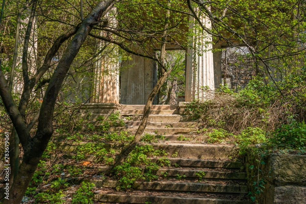 abandoned villa in ancient Greek style: staircase to the colonnade with trees and bushes growing through the steps on a sunny day in early spring