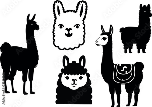 Llama bundle
