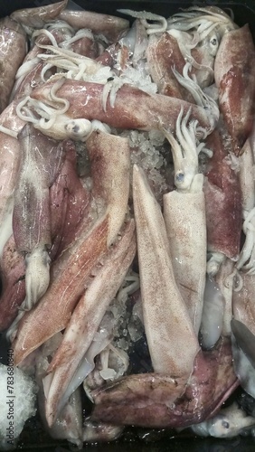 Raw squid with ice in a big tray, selling raw squid in modern market (ID: 783680840)