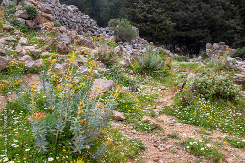 Landscape at the medieval settlement of Palio Pyli Kos Island South Aegean Region (Südliche Ägäis) Greece photo