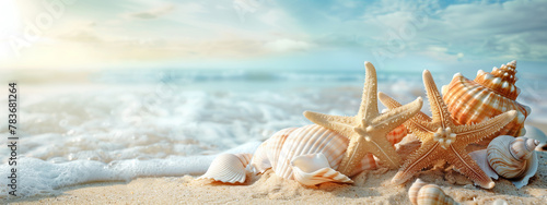Beautiful seashells and beach background