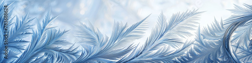 Winter's Touch: Frost Feathers on Glass in Cool Blue Hues