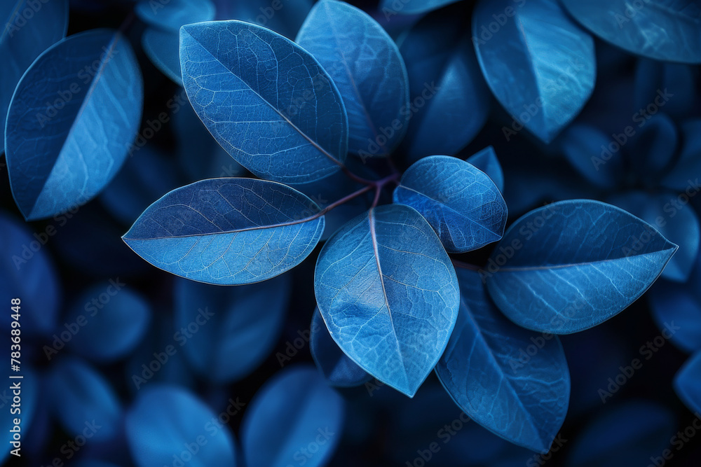 Obraz premium Blue Leaves Background with Vibrant Nature Detail
