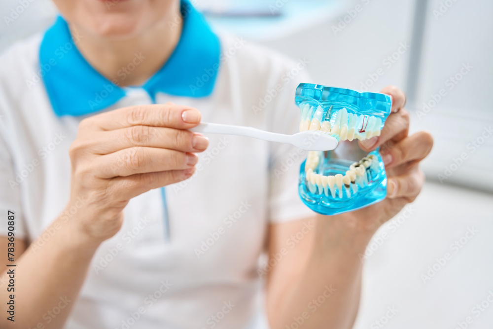 Fototapeta premium Experienced woman dental hygienist brushing dentures and dental implants