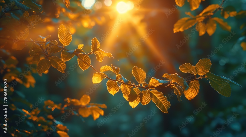 Obraz premium leaves change color in to red hue in autumn season with mist fog atmosphere, idea for autumn background, Generative Ai