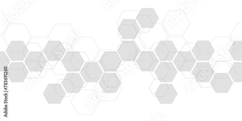 Hexagon pattern. Vector monochrome background. Texture of geometric shapes, hexagons. Lines, dots, cells, honeycombs. © sanchesnet1