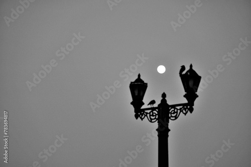 Full moon, Two crows sitting on antique light pole, Gateway of India, Apollo Bunder, Colaba, Bombay, Mumbai, Maharashtra, India, Asia photo